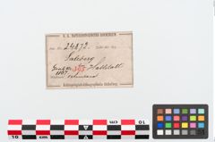 Etiketten zu Bronzeblecharmreif (NHMW-PRAE-024872)